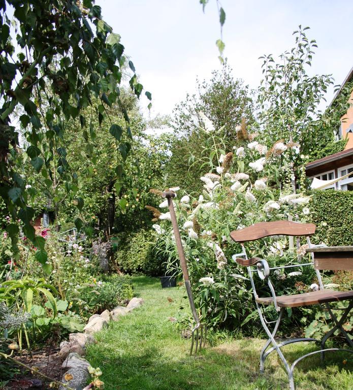 Landhaus Martens Bresewitz Dış mekan fotoğraf