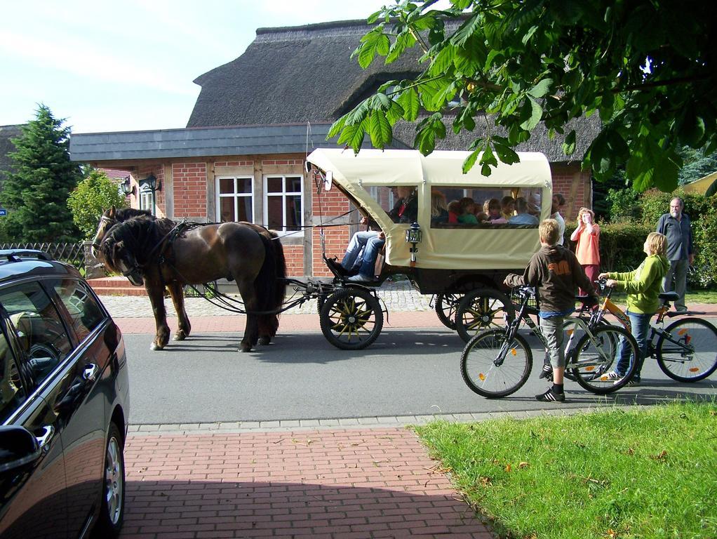 Landhaus Martens Otel Bresewitz Dış mekan fotoğraf