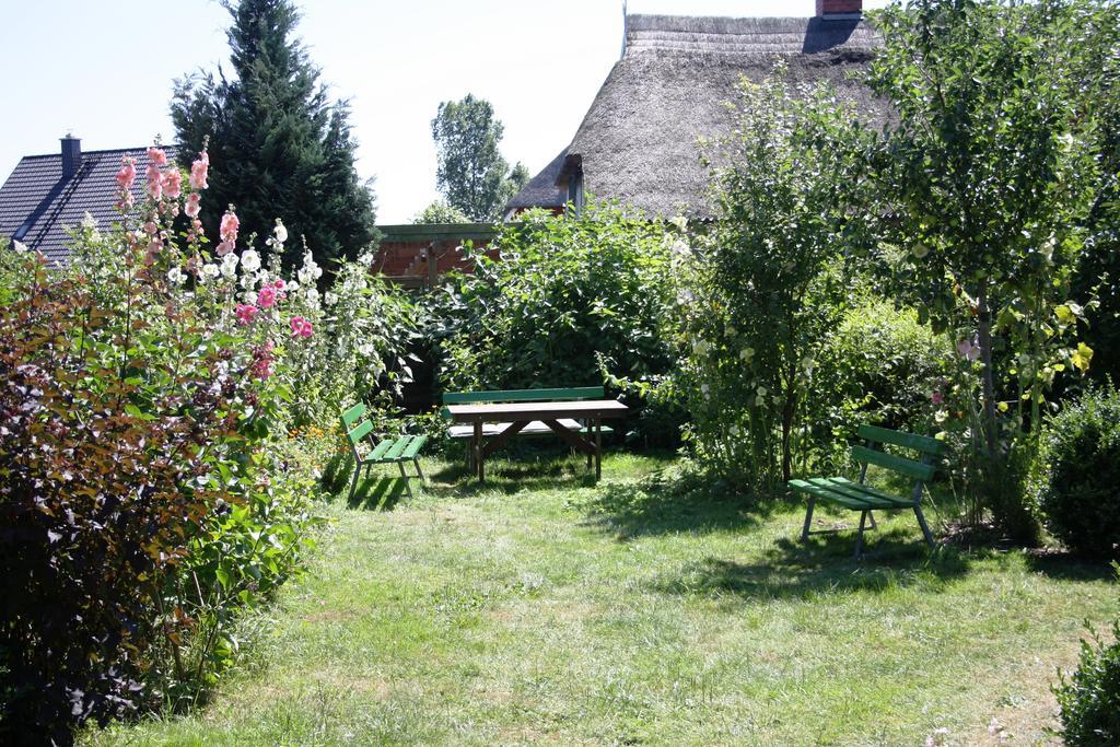 Landhaus Martens Bresewitz Dış mekan fotoğraf